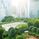 How SMEs in Singapore Can Start Greening Their Efforts Now￼