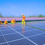 How Renewable Energy Certificates (REC) Help Businesses in Singapore Achieve Their Sustainability Goals